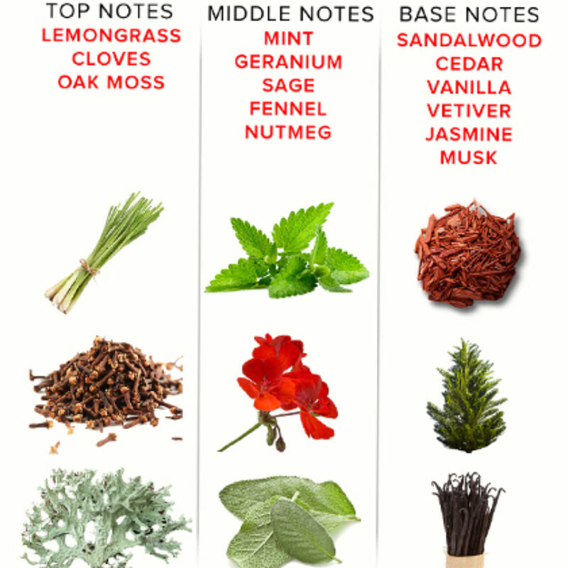 Parfum aux phéromones eol 10 ml - romantic