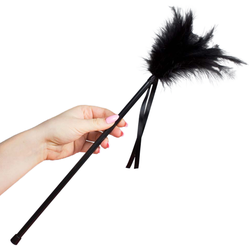 Plumes noires 40 cm
