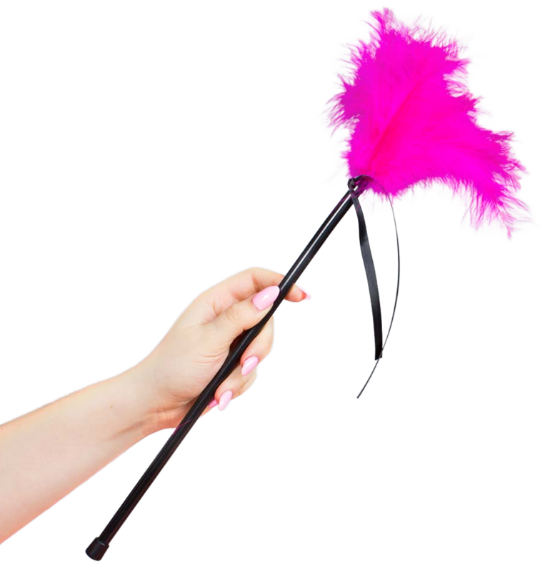 Plumes rose 40 cm