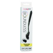 Boundless roue de plaisance