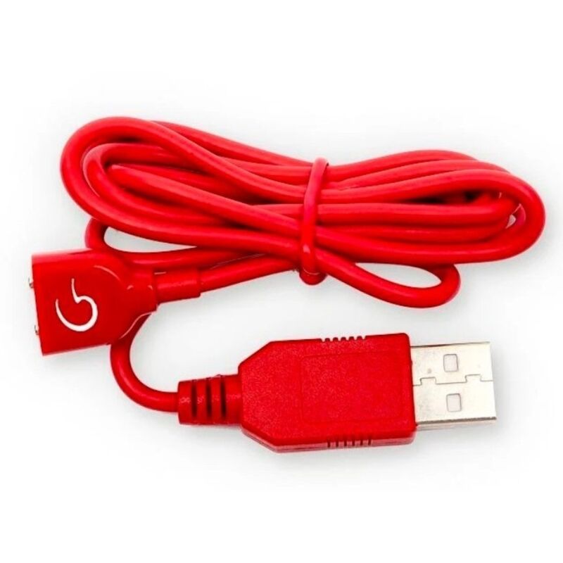 Chargeur magnétique