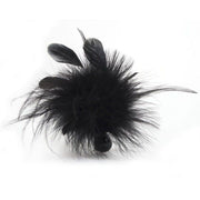 Plume pom pom