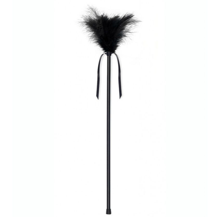 Plumes noires 40 cm