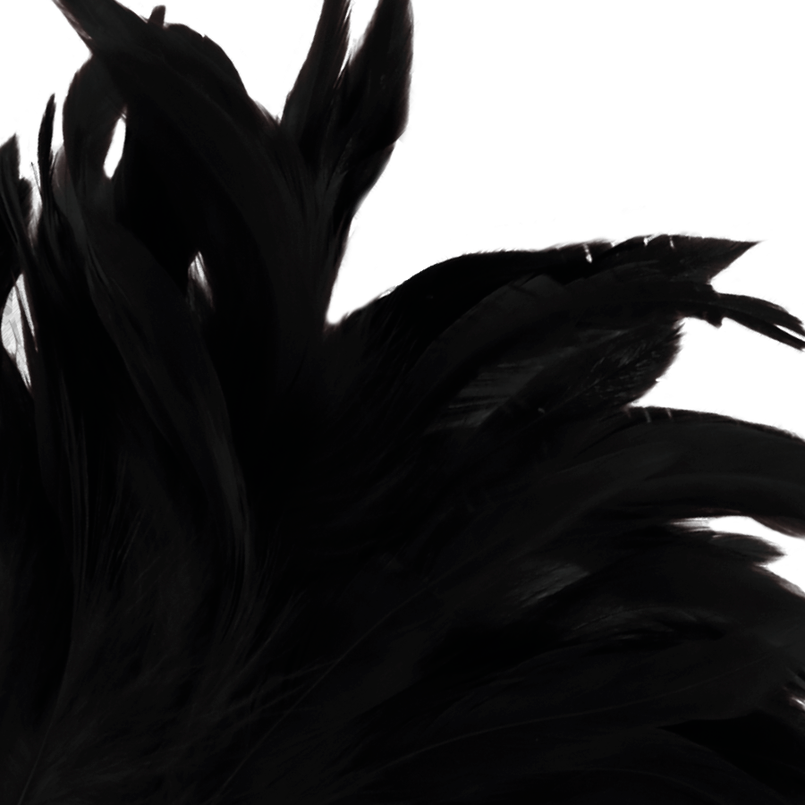 Stylo stimulant noir lux