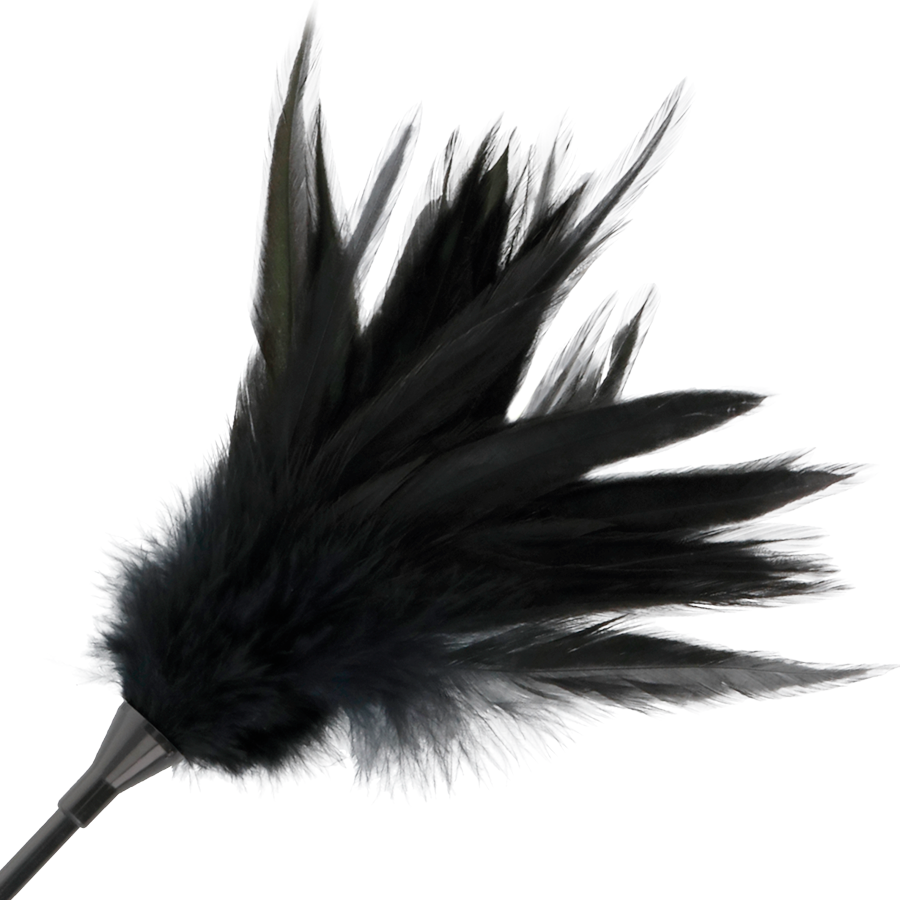 Fouet à plumes noires