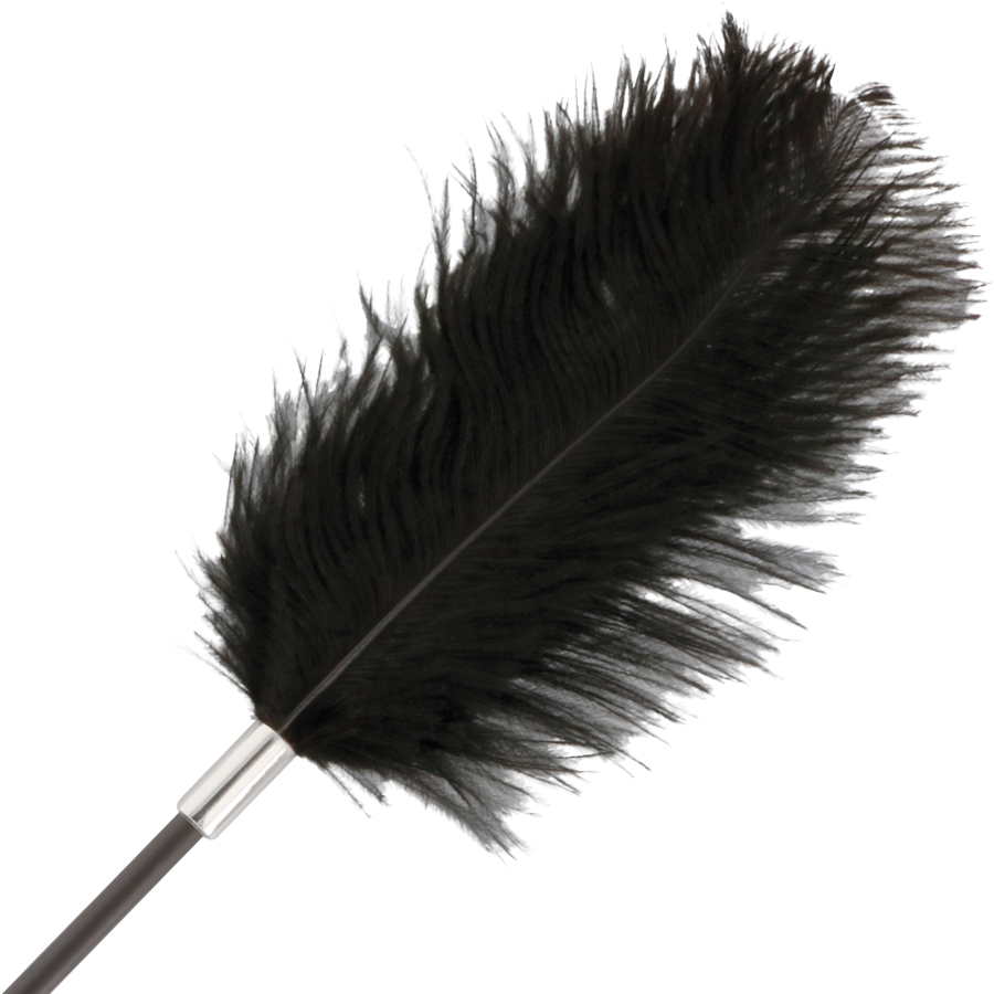 Fouet plume damour noir 56 cm