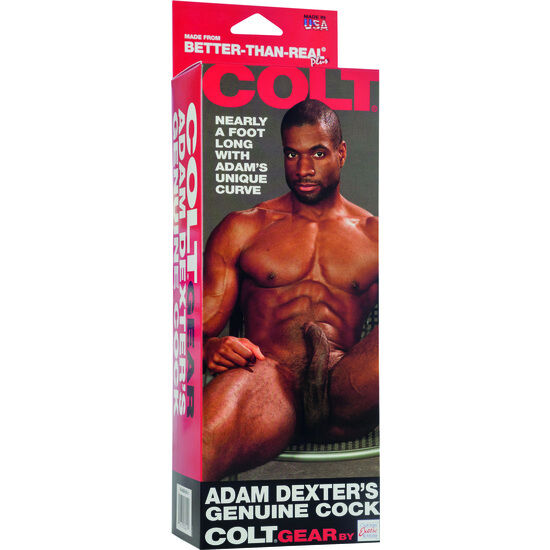 La bite de colt adam dexter